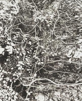 線香で画を描くアーティスト市川孝典、個展「FLEETING
