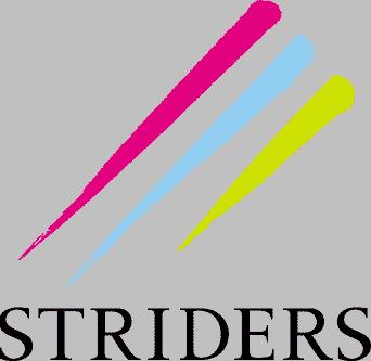 ストライダーズ、IT・DX支援を手掛ける株式会社block ストライダーズ、IT・DX支援を手掛ける株式会社block