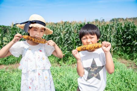 2026年夏休み、猛暑でも家族のお出かけは8割超！ 「プ