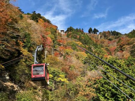 高低差763m、山麓から山頂へ広がる秋の絶景 身延山ロ