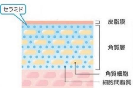 日本初　４種の医薬部外品有効成分配合美容液の安定化