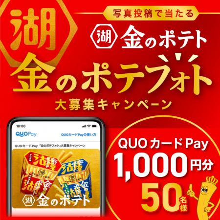 【合計50名様に1,000円分のQUOカードPayが当たる！】