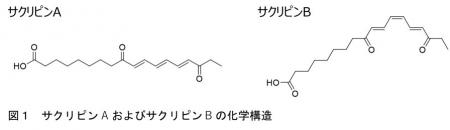 【名城大学】食用ラン藻スイゼンジノリ由来の紫utf-8