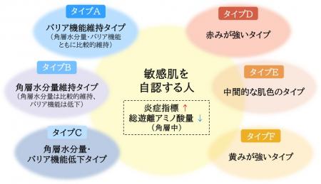 敏感肌には多様な肌状態が存在することを明らかutf-8 敏感肌には多様な肌状態が存在することを明らかutf-8
