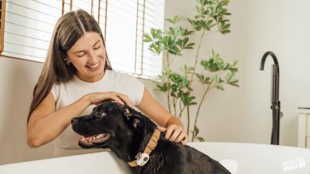 犬・猫の鳴き声は、AIでどう「翻訳」される?PettiCha 犬・猫の鳴き声は、AIでどう「翻訳」される?PettiCha