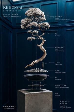 時を凌駕する盆栽の再定義、アップサイクル“RE BONSAI