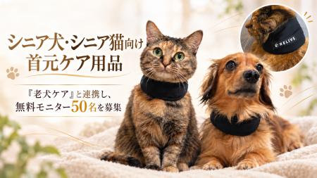 犬猫の長寿化で高まる「シニアペットケア」のニーズ。 犬猫の長寿化で高まる「シニアペットケア」のニーズ。