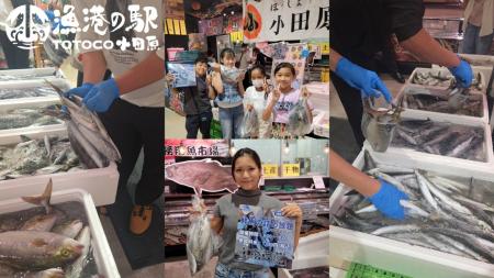 魚のテーマパークで秋の豊漁を楽しむ！30秒でどutf-8