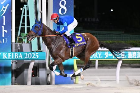 10月7日（水）3歳ダート三冠競走最終戦「ジャパンダー