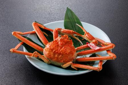 【11月6日カニ解禁】 鳥取の冬の味覚”松葉ガニ”　　休