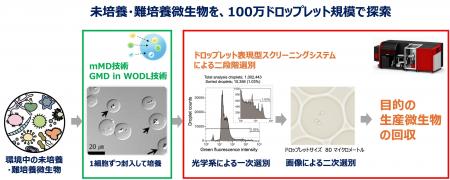 世界初、ドロップレット表現型スクリーニングシステム