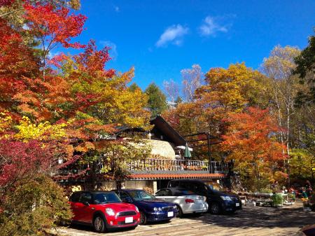 【山梨・八ヶ岳】紅葉の道の先に、森で過ごす豊かな時 【山梨・八ヶ岳】紅葉の道の先に、森で過ごす豊かな時