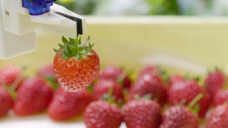 MD-Farm、新潟県フードテック産業クラスターの核企業 MD-Farm、新潟県フードテック産業クラスターの核企業