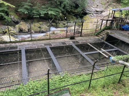京王電鉄が奥多摩町「日原渓流釣場」の指定管理utf-8