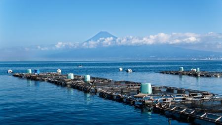 水産資源の安定調達に向けF&LCと協立の合弁会社「FOOD