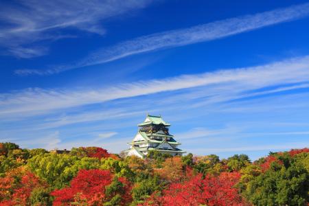 ”秋は大阪で紅葉狩り” 京都や奈良の紅葉巡りにも好ア ”秋は大阪で紅葉狩り” 京都や奈良の紅葉巡りにも好ア