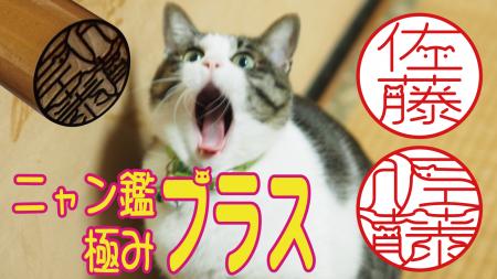 ハンコレスの時代でも人気の究極の猫印鑑がさらに進化