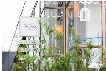 アイズドッグ瑞穂店、10月より年末のトリミング予約案 アイズドッグ瑞穂店、10月より年末のトリミング予約案