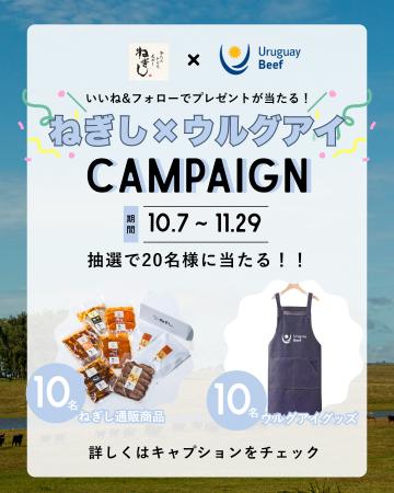【本日10/7解禁 】特別価格「ウルグアイセット」が期