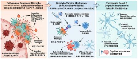 AMED「革新的先端研究開発支援事業インキュベートタイ AMED「革新的先端研究開発支援事業インキュベートタイ