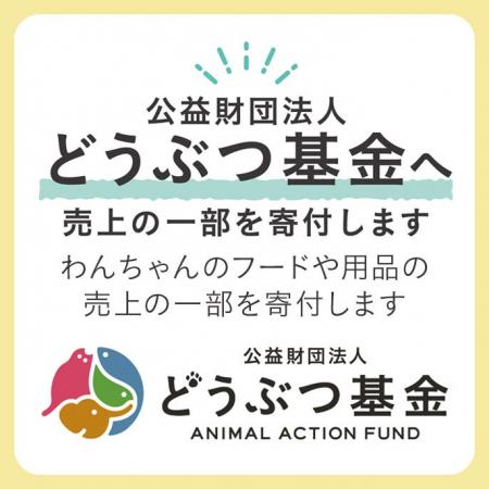 「カインズわん祭り2026」寄付活動10月7日（水）から