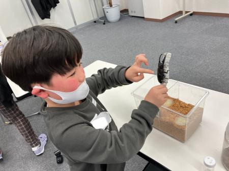【こどもの休日の過ごし方】11/1出発 ファーブル昆虫