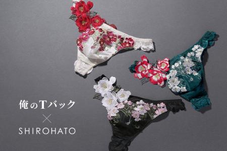 レース使用率はわずか3.1％。「男性はレースを好まな