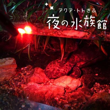 【JAF岐阜】世界淡水魚園水族館 アクア・トト ぎふで