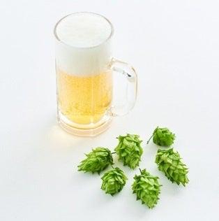 ホップ由来素材「アストロホップ(R)」を用いたヒト臨 ホップ由来素材「アストロホップ(R)」を用いたヒト臨