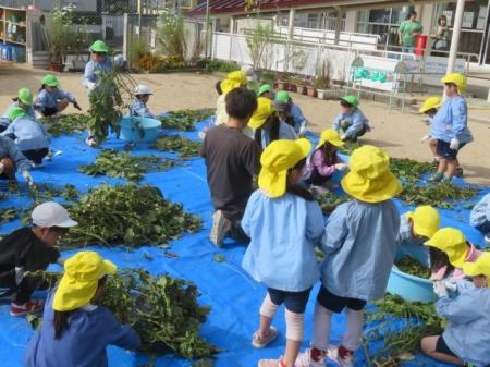 【10/21(水)～10/23(金)】川西市、猪名川町内の小学校