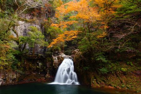 【三重・赤目四十八滝】秋の紅葉シーズン間もなく！昼