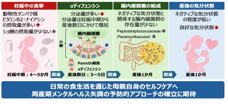 -妊娠中の食事に着目した、周産期メンタルヘルスの新
