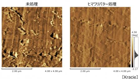 ～髪内部の変化に着目した研究２０年の成果～　扱いに