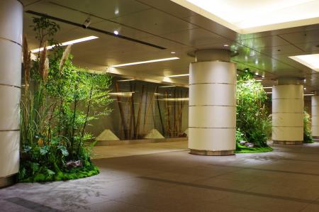 東京駅から皇居へ続く地下空間に、新たな緑の空間を創