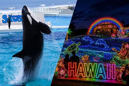 【鴨川シーワールド＆東京ドイツ村】昼は大迫力な海の