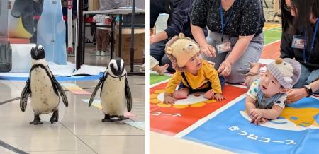 【開催レポート】10月10日は赤ちゃんの日!ペンギンの 【開催レポート】10月10日は赤ちゃんの日!ペンギンの