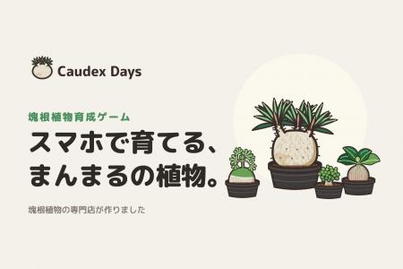 スマホで育てる、まんまるの植物。塊根植物の専門店が