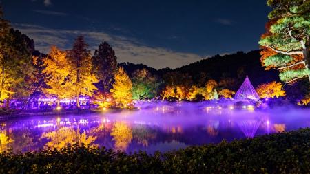 【東京都町田市】紅葉のライトアップと雲海が織りなす