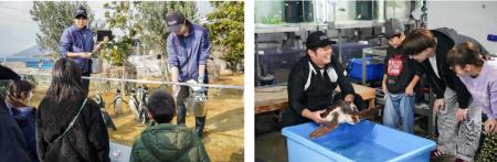 【神戸須磨シーワールド】ペンギンやカメについて学ん