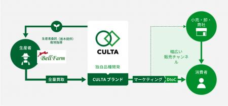 鈴与商事、CULTAと連携しイチゴ栽培事業に参入 鈴与商事、CULTAと連携しイチゴ栽培事業に参入