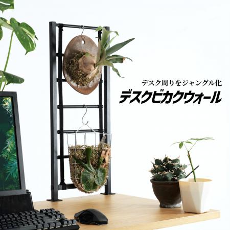 デスクをジャングル化！PC周りをビカクシダの要塞にす