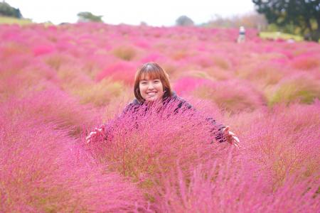 【大分・くじゅう花公園】約5,000“モフ”のコキアがピ