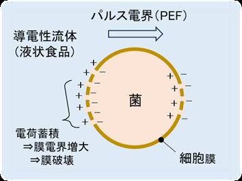 産学共同研究テーマ「食品品質を劣化させない高電界パ 産学共同研究テーマ「食品品質を劣化させない高電界パ