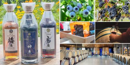 第5回Nasu 661 WINE HILLS、11月8日に収穫祭を開催