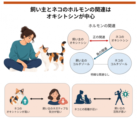 ネコと飼い主、オキシトシン濃度が相関 ―ネコとutf-8