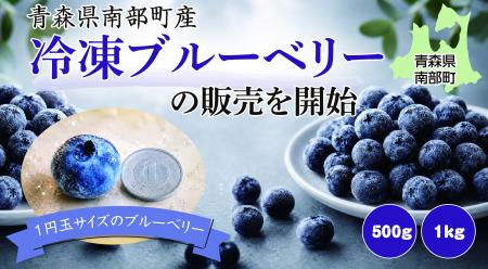 「北のフルーツ王国」青森県南部町で育った「冷凍ブル 「北のフルーツ王国」青森県南部町で育った「冷凍ブル