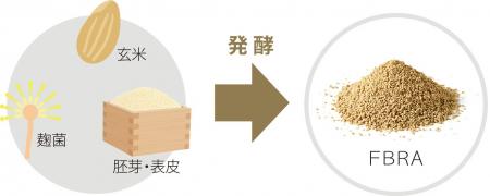 玄米・米糠発酵食品（FBRA）、潰瘍性大腸炎患者を対象
