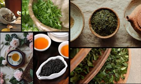 今年の喫茶来（きっさこ）もセミナーやワークショップ