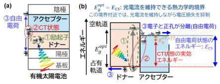 有機太陽電池の光電流生成に必要なエネルギー条件を体