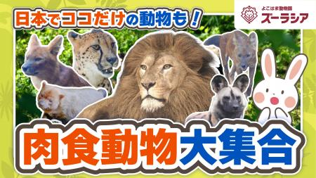 特別動画で「ズーラシア」がもっと楽しくなる!YouTub 特別動画で「ズーラシア」がもっと楽しくなる!YouTub